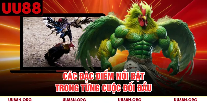 Cần đọc mã trận, loại cựa, trạng thái và kết quả thay vì suy luận từ ngoại hình chiến kê.