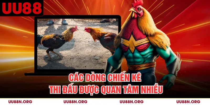 Dòng gà, màu lông và ngoại hình chỉ là dữ liệu nhận diện, không bảo đảm kết quả.
