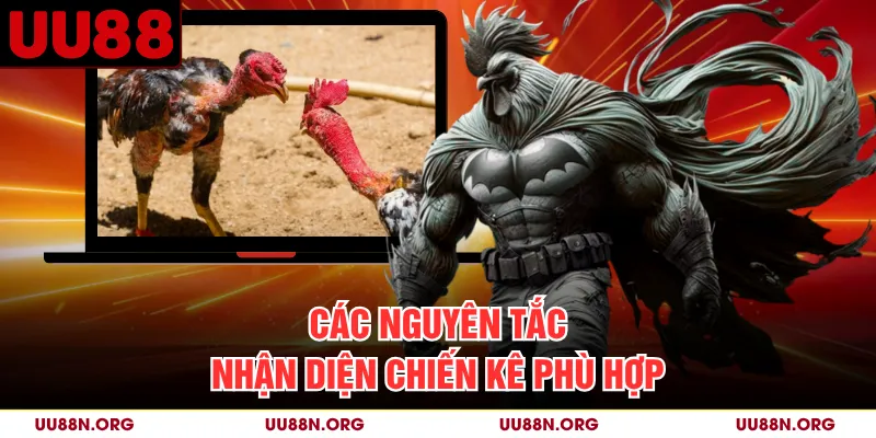 Khi chiến kê có nhiều màu, nên xác định theo sắc chiếm tỷ lệ lớn thay vì dựa vào một mảng lông nhỏ.