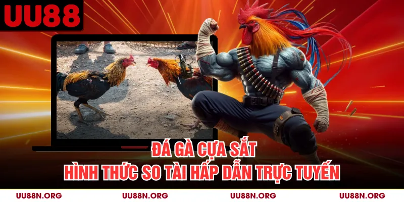 Đá Gà Cựa Sắt - Hình Thức So Tài Hấp Dẫn Trực Tuyến