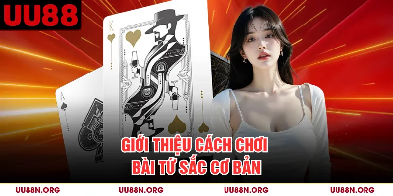 Người mới cần nhận diện các loại quân và nguyên tắc xếp nhóm trước khi tham gia một ván Tứ Sắc.