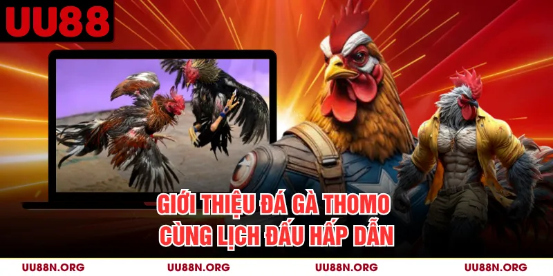 Người theo dõi nên kiểm tra thời gian, mã trận và trạng thái trước khi mở luồng phát.