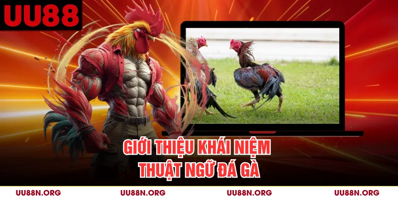 Thuật ngữ giúp người theo dõi hiểu đúng lịch, trạng thái và kết quả đang hiển thị.