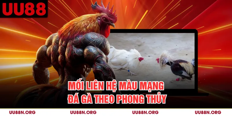 Màu mạng là cách phân loại dân gian, không phải căn cứ bảo đảm kết quả trận đấu.