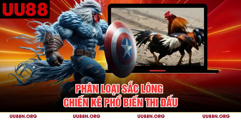 Màu lông chủ đạo thường được dùng để nhận diện và phân nhóm chiến kê theo cách gọi dân gian.