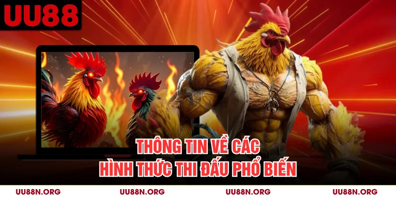 Mỗi thể thức có thời lượng, diễn biến và điều kiện kết thúc riêng.