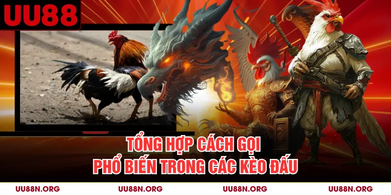 Tên gọi và ký hiệu có thể thay đổi theo từng khu vực tổ chức hoặc nhà cung cấp.